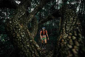 BIB: 
                            <button type="button" onclick="openModal(25678576)" class="btn btn-primary btn-sm float-right btn-popup" data-toggle="modal" data-target=".modal-high-quality">
                        <i class="fas fa-shopping-cart"></i> Add to Cart
                    </button>
                                            <button type="button" onclick="isThisMe(25678576, true)" class="btn btn-success btn-sm float-right btn-popup btn-isme hidden" data-toggle="tooltip" data-placement="bottom" title="นี่คือรูปของคุณใช่ไหม คลิกที่นี่เพื่อเอาเข้าอัลบั้ม">
                        <i class="fas fa-plus"></i> Add to album
                    </button>
                    <button type="button" onclick="isThisMe(25678576, false)" class="btn btn-warning btn-sm float-right btn-popup btn-isnotme hidden">
                        <i class="fas fa-ban"></i> Remove from album
                    </button>